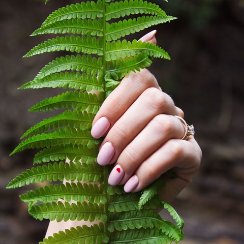Gel Manicure or Pedicure